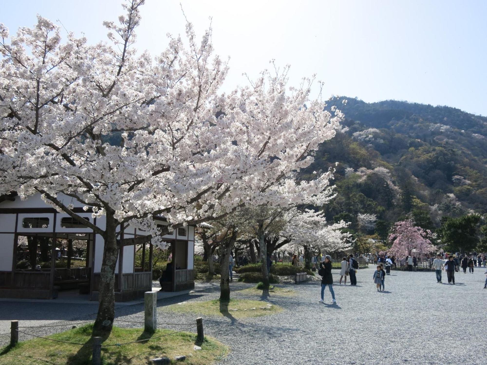 The Grandwest Arashiyama Aparthotel Kyoto Exterior photo